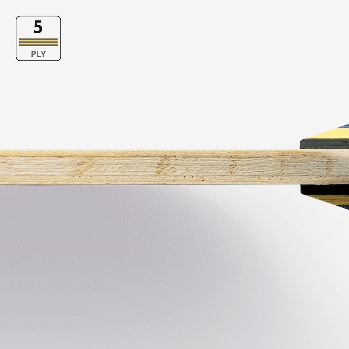 蝴蝶 TIMO BOLL J
